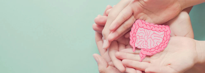 Gut Health 101: Why Your Microbiome Matters More Than You Think